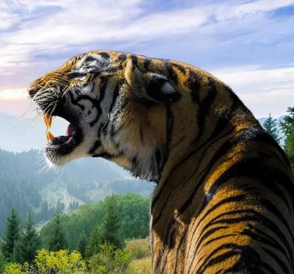 Sariska Jungle Safari Gypsy Tour