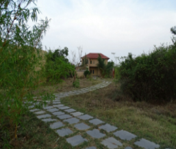 Cheap hotel in Tadoba